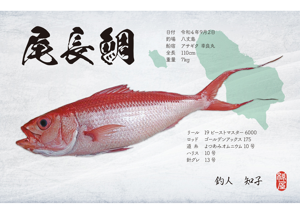 オリジナル　尾長鯛